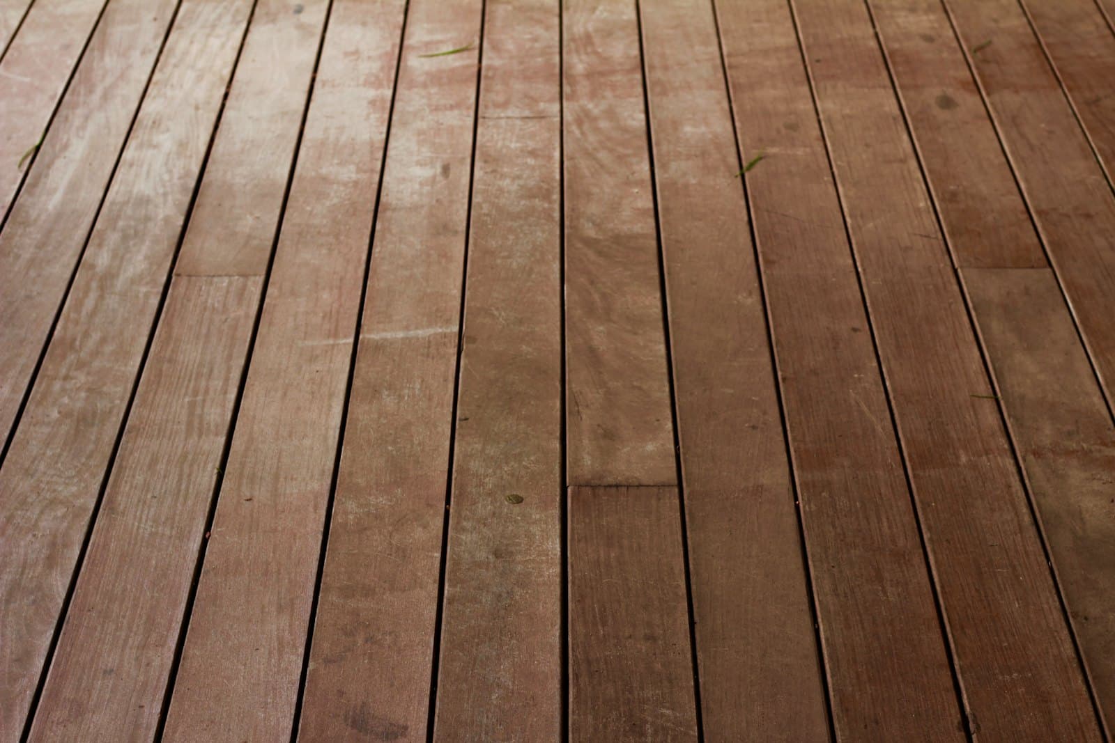 Close-up of new brown hardwood flooring
