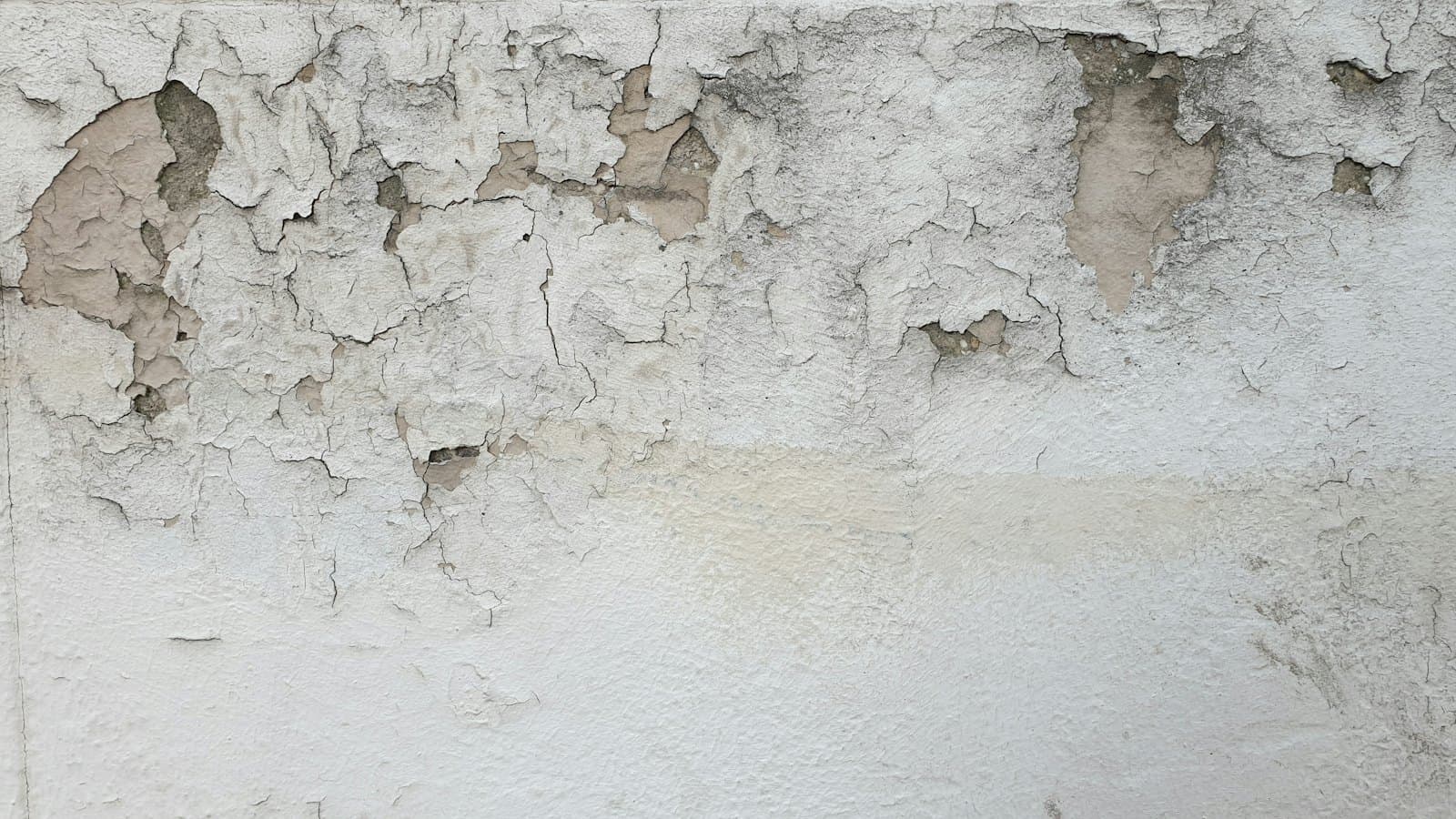 Wall with peeling paint from moisture damage
